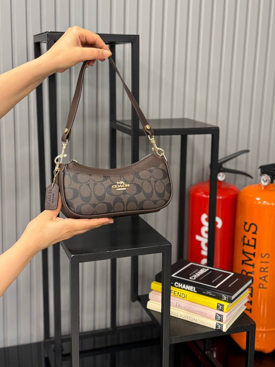 Coach Ashton Bag