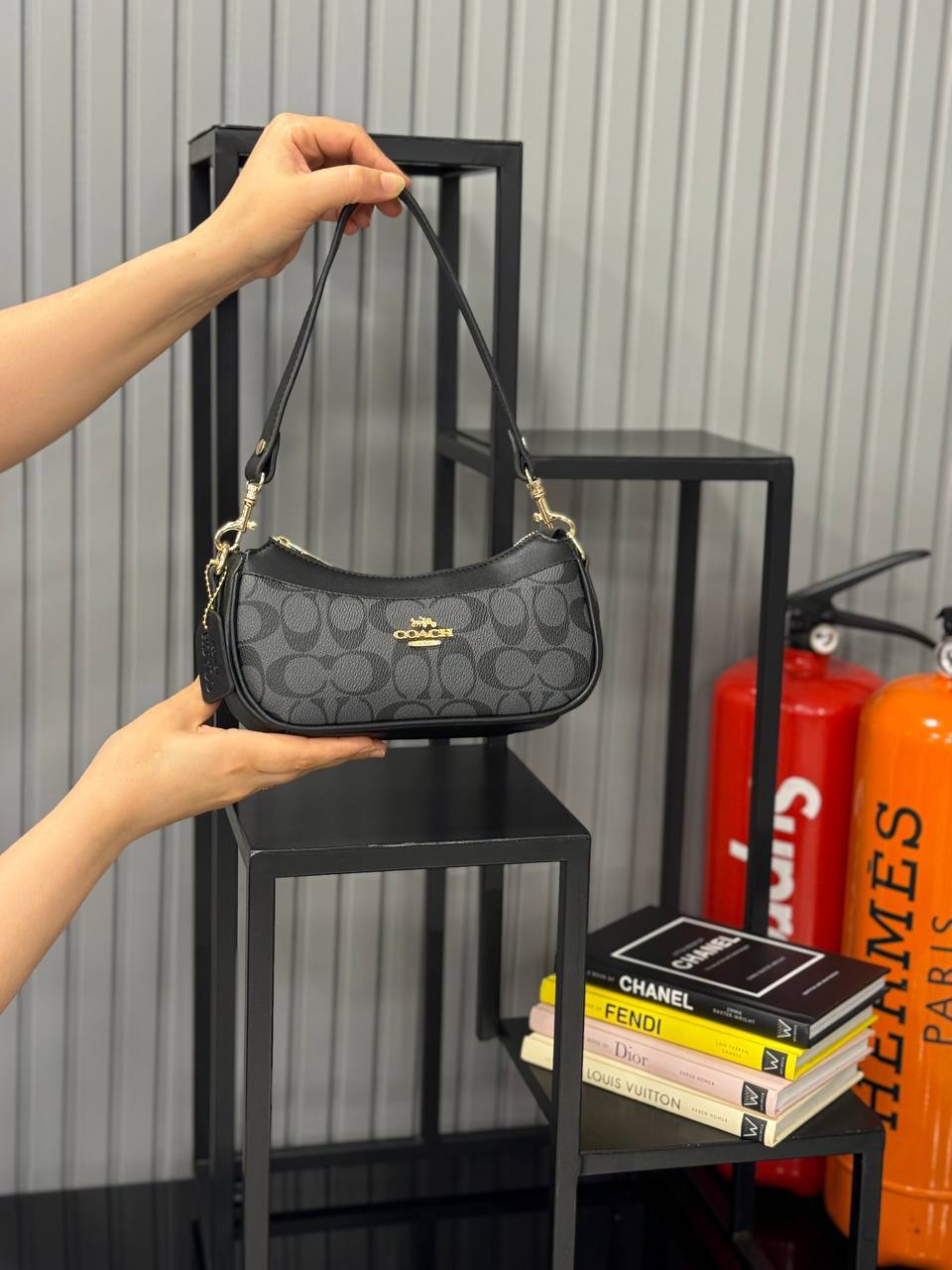 Coach Ashton Bag